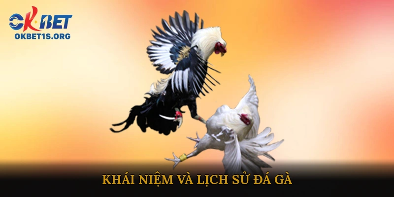 Khái niệm và lịch sử đá gà