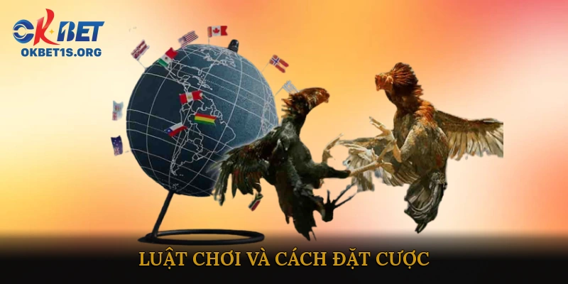 Luật chơi và cách đặt cược