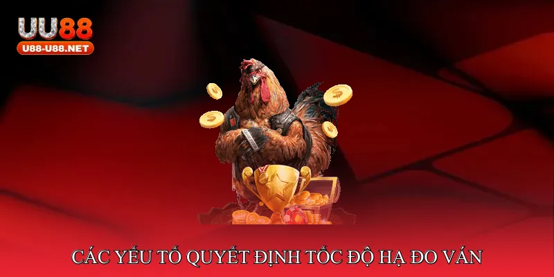 Giới thiệu về đá gà tốc độ hạ đo ván