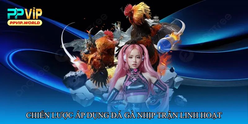 Chiến lược áp dụng Đá gà nhịp trận linh hoạt