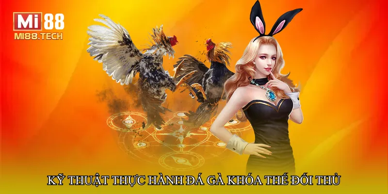 Kỹ thuật thực hành Đá gà khóa thế đối thủ