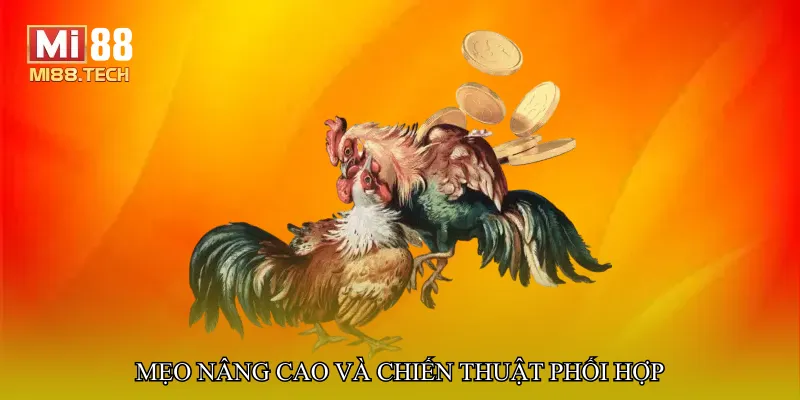 Mẹo nâng cao và chiến thuật phối hợp