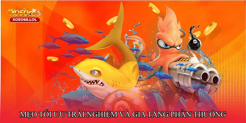 Mẹo tối ưu trải nghiệm và gia tăng phần thưởng