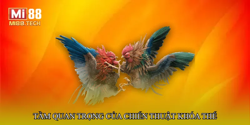 Tầm quan trọng của chiến thuật khóa thế